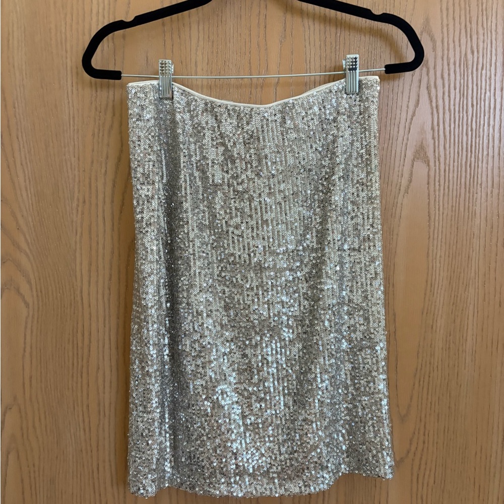 Sequin Skirt